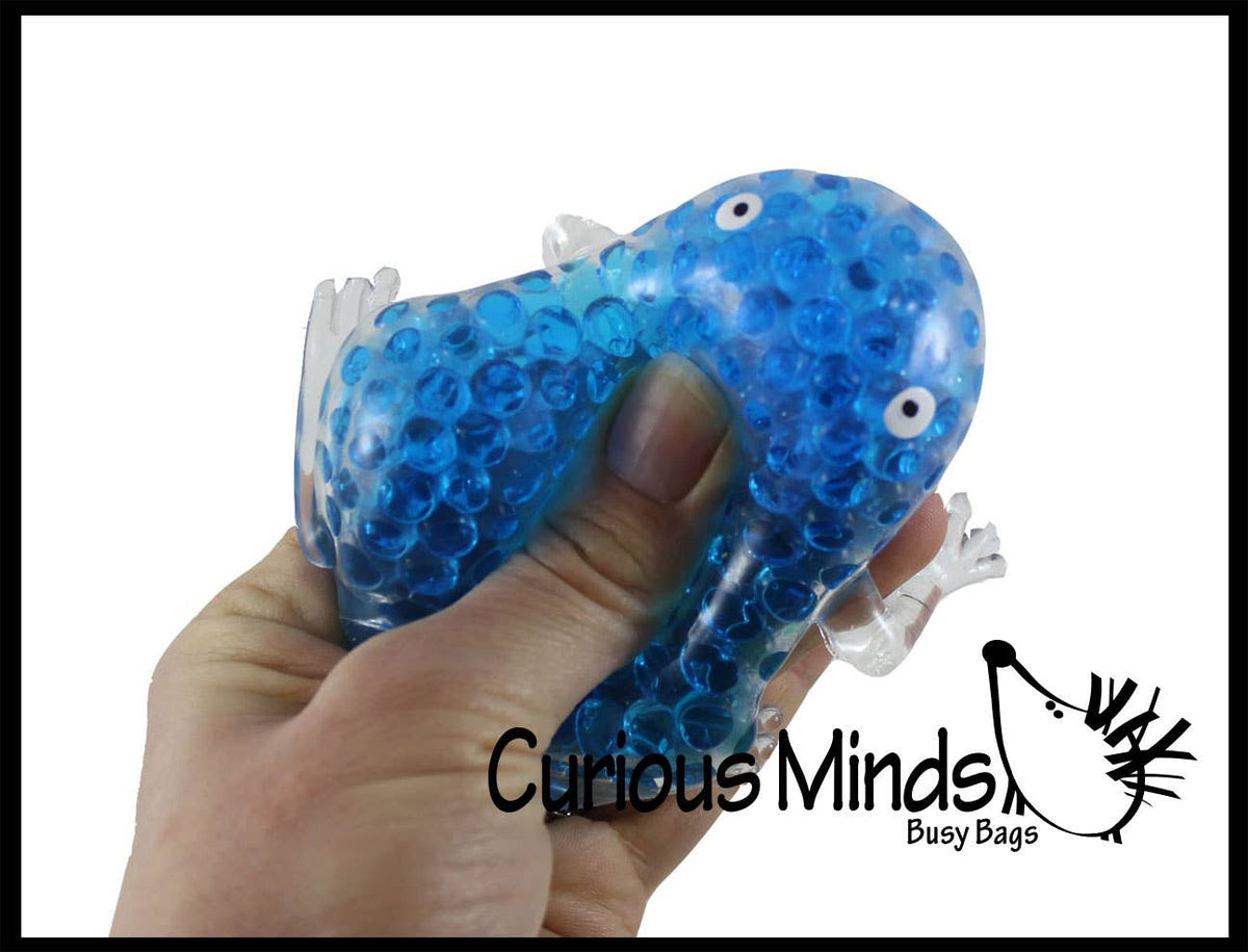 Frog Water Bead Filled Squeeze Stress Ball - Sensory, Stre