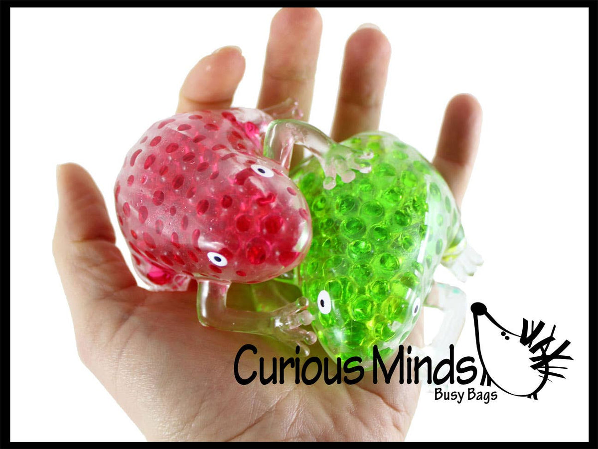 Frog Water Bead Filled Squeeze Stress Ball  -  Sensory, Stre
